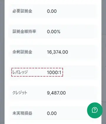 口座のレバレッジの確認が完了