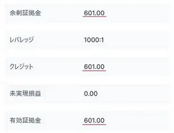 XMポイントが追加口座に付与され、クレジット欄に反映