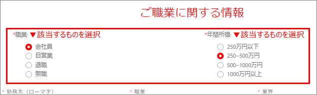 Tradeview(トレードビュー)口座開設申請 ご職業に関する情報の選択例
