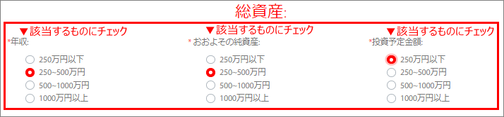 Tradeview(トレードビュー)口座開設申請 総資産の入力例