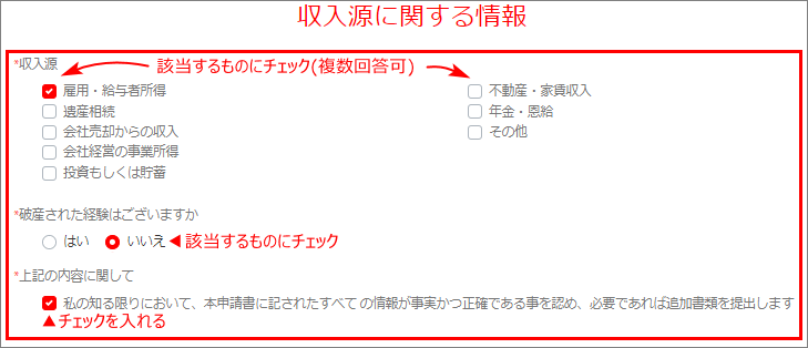 Tradeview(トレードビュー)口座開設申請 収入源に関する情報の入力例