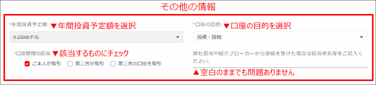 Tradeview(トレードビュー)口座開設申請 その他の情報の入力例