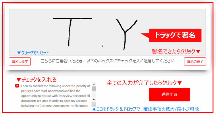 Tradeview(トレードビュー)口座開設申請、署名欄と確認事項の入力例