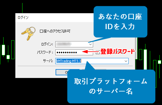 ログインID(口座番号)とパスワードを入力し、サーバーを選択した後、OKをクリックすると、XMのMT4/MT5へのログインは完了