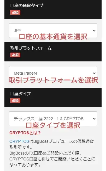BigBoss口座開設ー通貨、プラットフォーム、口座タイプの選択画面