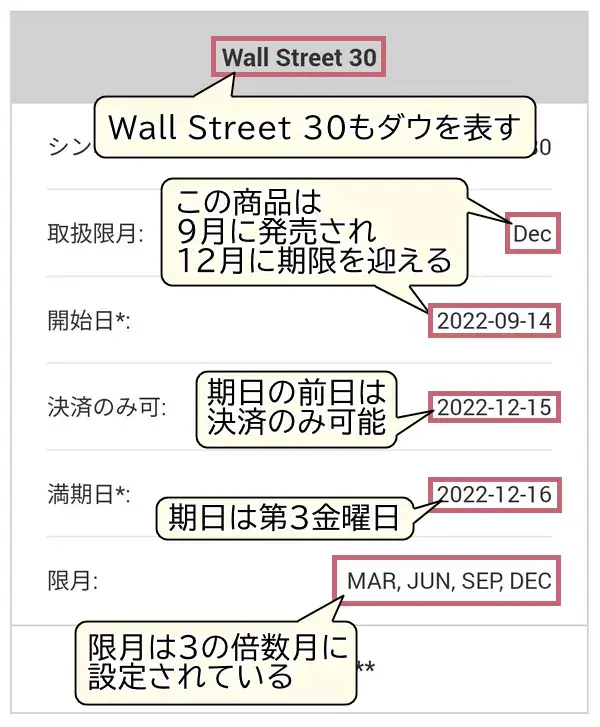 xmダウ公式サイトwallstreet30モバイル