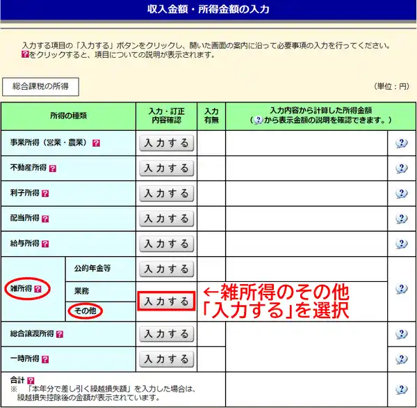 雑所得のその他の「入力する」を選択
