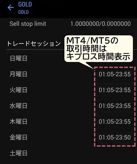 MT4MT5の取引時間表示画面