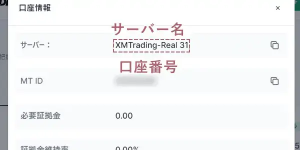 XMの口座番号やサーバー名が表示