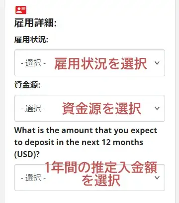 IronFXプロファイルの更新-雇用詳細の入力
