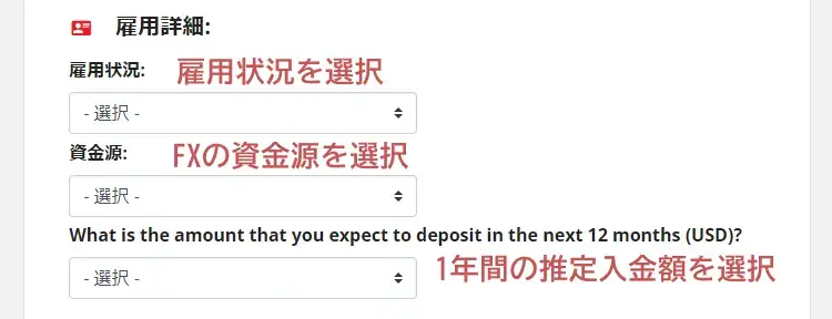 IronFXプロファイルの更新-雇用詳細の入力