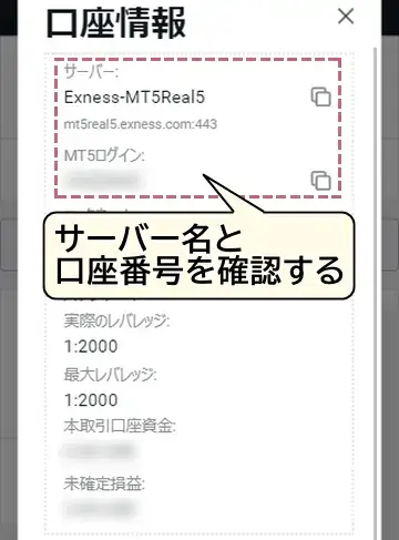 エクスネスの会員ページで口座番号とサーバー名を確認する2