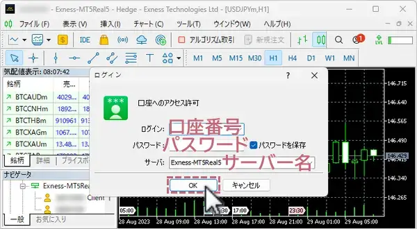 エクスネスのMT4/MT5にログイン情報を入力しログイン