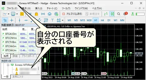 MT4/MT5にログインが完了すると自分の口座番号が表示される