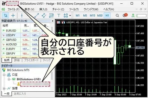 MT4MT5の上部やナビゲータに自分の口座番号が表示されていたらログイン完了