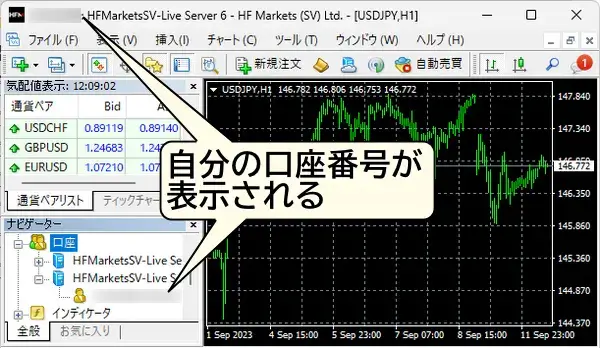 PC版MT4/MT5にHFMの口座でログインする方法3MT4/MT5上部やナビゲータに自分の口座番号が表示されればログイン完了