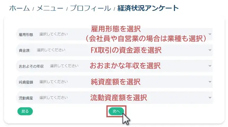 XS.com 職業や資産状況に関するアンケートへの回答