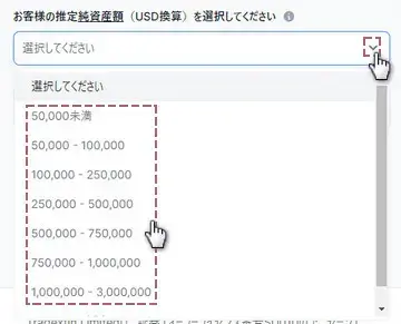 純資産の選択