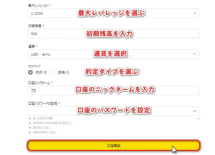 Exneessデモ口座の詳細入力画面