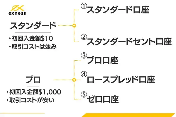 Exnessの口座タイプは初心者用とプロ用にわかれる