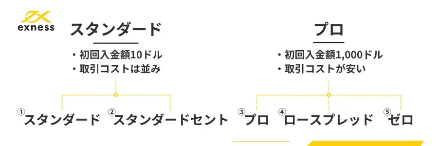 Exnessの口座タイプは初心者用とプロ用にわかれる